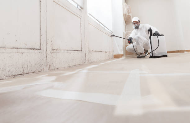 24/7 Emergency Mold Remediation experts in Millstone Township, NJ