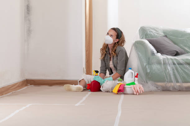 Reliable Mold Remediation contractor in Millstone Township, NJ by Mold Remediation HQ